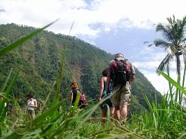 Bali Jungle Trekking