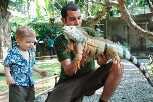 Bali Bird and Reptile Park