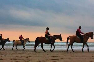 Bali Horse Riding