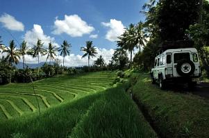 Bali Land Cruises