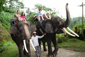 Bali Elephant Camp