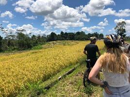 Bali Bintang  Cycling