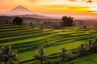 UNESCO Rice Terace Tour